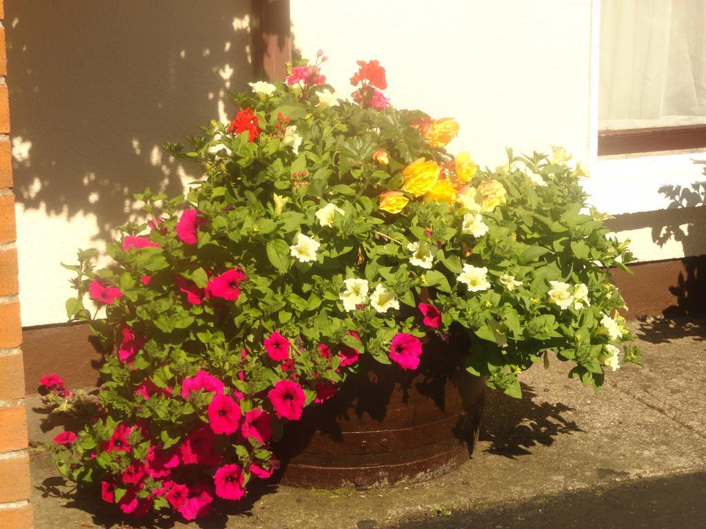 Orley House B&B Drogheda Exterior foto