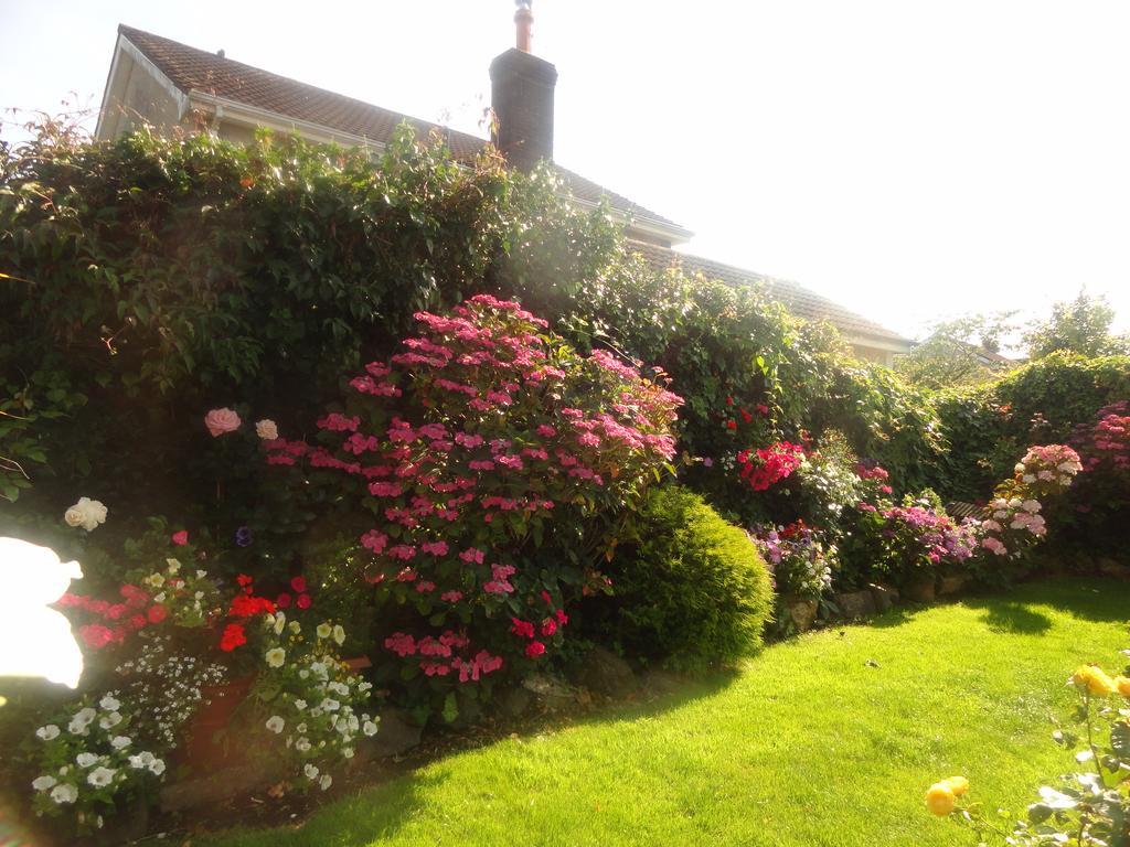 Orley House B&B Drogheda Exterior foto