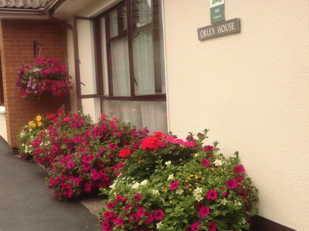 Orley House B&B Drogheda Exterior foto
