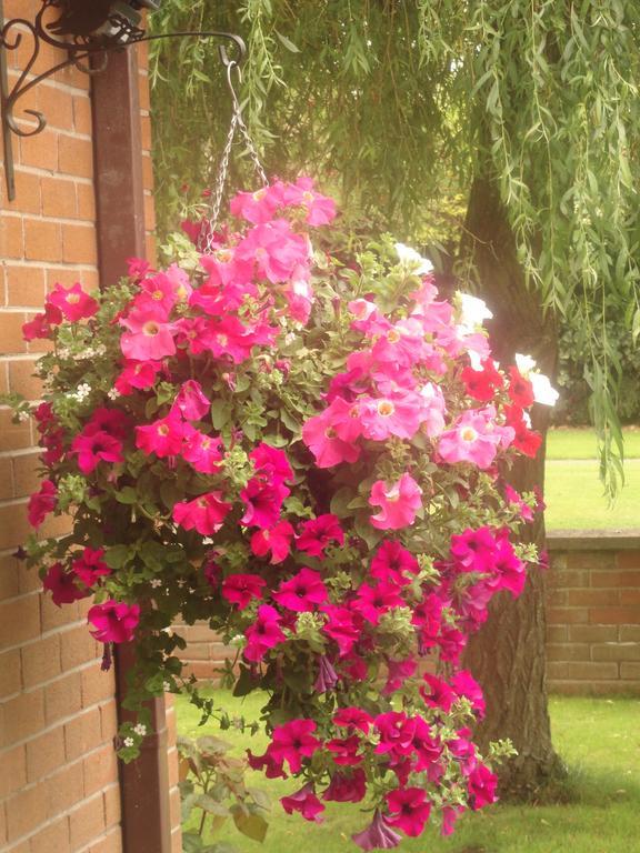 Orley House B&B Drogheda Exterior foto