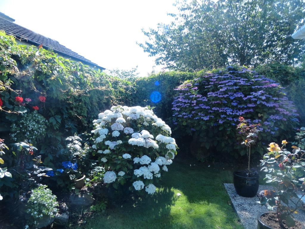 Orley House B&B Drogheda Exterior foto